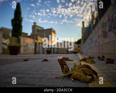 arbera del Valles, Catalunya / Spain: Empty street with a leaf on the floor Stock Photo