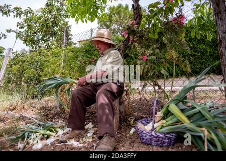 Old man with straw hat cutting vegetables sitting on a log Stock Photo