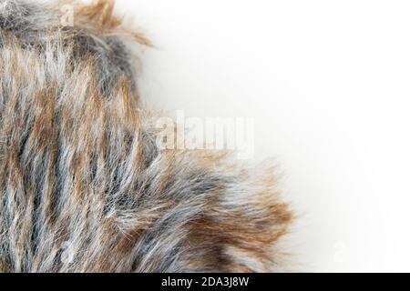 Grey and brown fur close up and isolated on white background Stock Photo