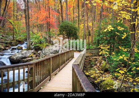 Bridge to Anna Ruby Falls, Georgia, USA in autumn. Stock Photo