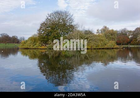 Verulamium Park St. Albans Herts UK reflections in the lake Stock Photo