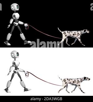 A humanoid robot walks a Dalmatian breed dog with a leash.  Isolated on black and white background. Future concept with robotics and artificial intell Stock Photo