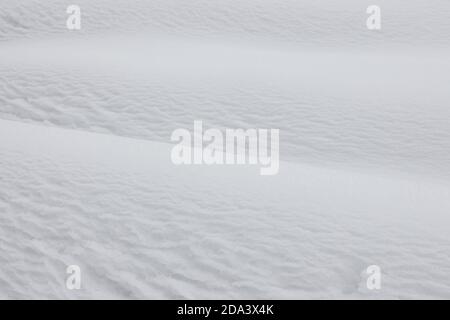 Winter snow. Snow texture Top view of the snow. Texture for design. Snowy white texture Stock Photo