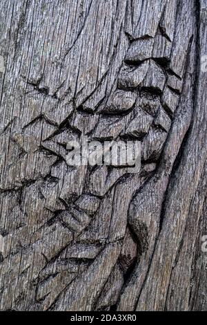 old weathered piece of wood with carving Stock Photo