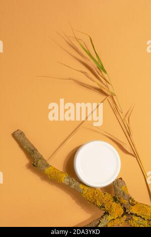 Moisturizing natural organic cream in white plastic jar on old branch with dried flowers. Skincare concept. Stylish look of the product, mock up. Stock Photo