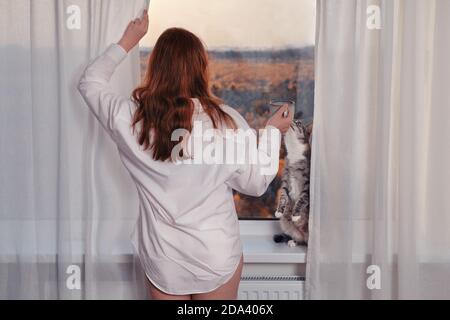 An adult woman by the window with a cup of coffee next to a funny cat. Humor pet got up on its hind legs on the windowsill. Stock Photo
