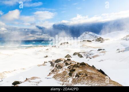 Waves of arctic sea crashing on snowy landscape during a blizzard, Sandfjorden, Berlevag, Varanger Peninsula, Finnmark, Norway Stock Photo