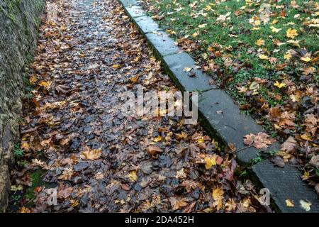 looking down at dead leaves on wet footpath Stock Photo