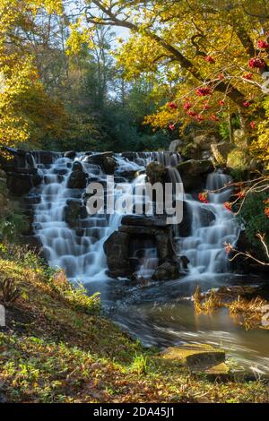 The ornamental cascade or waterfall at Virginia Water Lake in Windsor Great Park during autumn, England, UK Stock Photo