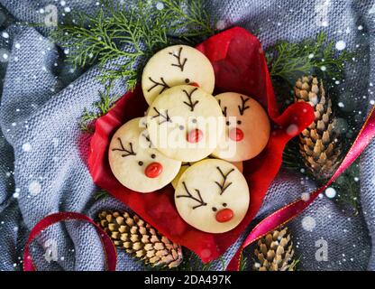 Round shortbread cookies in the form of a deer's muzzle. New Year's cookies on a woolen background, bumps, lights, twigs ate. New Year's content Stock Photo