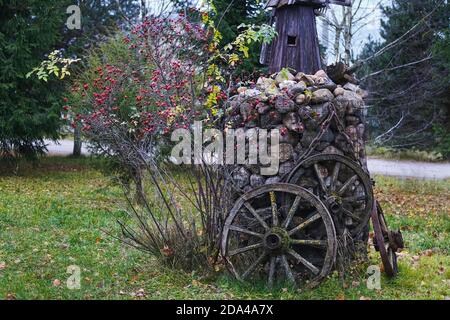 Gabion basket idea for trendy garden decorating. Frame made of metal mesh filled with stones used in landscape design of autumnal garden. Rosehip bush Stock Photo