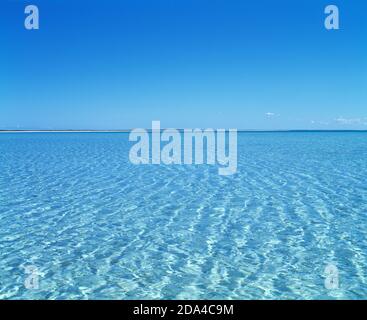 Western Australia. Shark Bay. Distant view of Shell Beach. Stock Photo