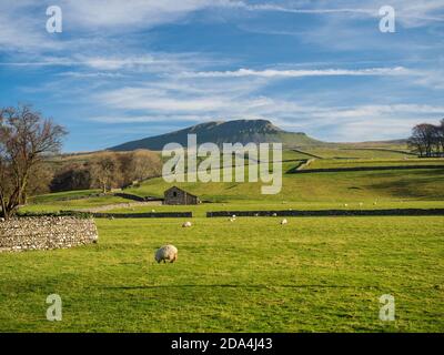 Pen-y-ghent mountain. At 2277 feet it is one of the Three Peaks of Yorkshire mountains. Yorkshire Dales National Park Stock Photo