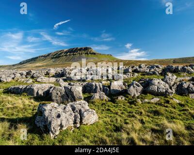 Pen-y-ghent mountain with boulders. At 2277 feet it is one of the Three Peaks of Yorkshire mountains. Yorkshire Dales National Park Stock Photo