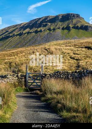 Pen-y-ghent mountain with path and gates. At 2277 feet it is one of the Three Peaks of Yorkshire mountains. Yorkshire Dales National Park Stock Photo