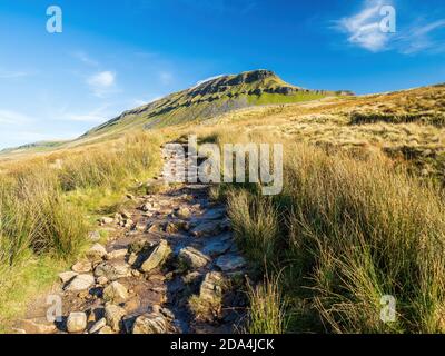 Pen-y-ghent mountain with path and steps. At 2277 feet it is one of the Three Peaks of Yorkshire mountains. Yorkshire Dales National Park Stock Photo