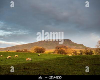 Pen-y-ghent mountain at sunset. At 2277 feet it is one of the Three Peaks of Yorkshire mountains. Yorkshire Dales National Park Stock Photo