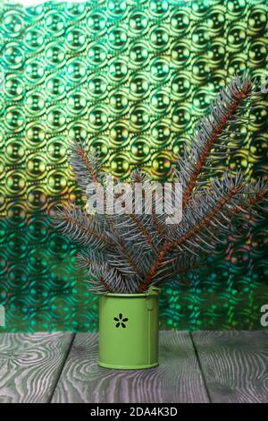 Branches of blue spruce in a decorative bucket. On brushed pine boards painted black and white. The background is an iridescent surface of green. Stock Photo