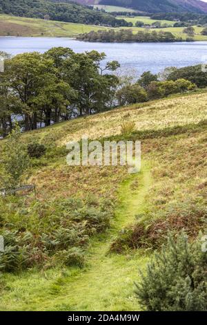 A grassy footpath leading down to Buttermere in the English Lake District, Cumbria UK Stock Photo