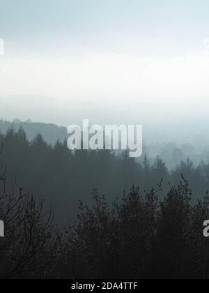 Misty Trees and Hills in Silhouette Stock Photo