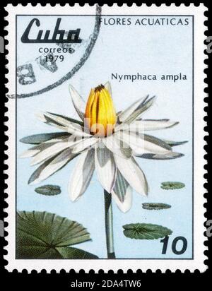 Saint Petersburg, Russia - September 18, 2020: Stamp printed in the Cuba the image of the Nymphaea ampla, circa 1979 Stock Photo