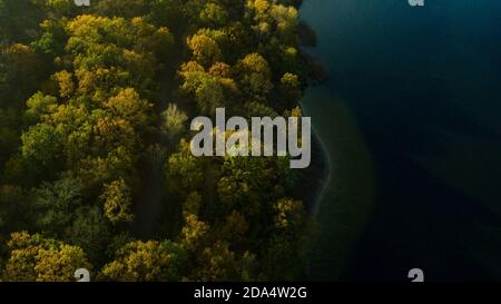 Berlin, Germany. 05th Nov, 2020. The trees at Grunewaldsee shine in autumn (photo taken with a drone). Credit: Paul Zinken/dpa-Zentralbild/ZB/dpa/Alamy Live News Stock Photo