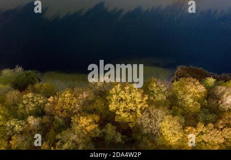 Berlin, Germany. 05th Nov, 2020. The trees at Grunewaldsee glow in autumn (photo taken with a drone). Credit: Paul Zinken/dpa-Zentralbild/ZB/dpa/Alamy Live News Stock Photo
