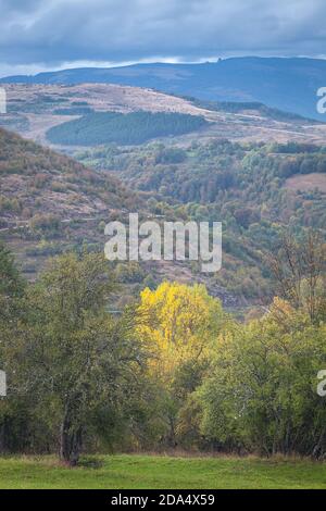 Beautiful autumn colored, golden trees, green field and Babin zub peak in the distance under a cloudy sky Stock Photo