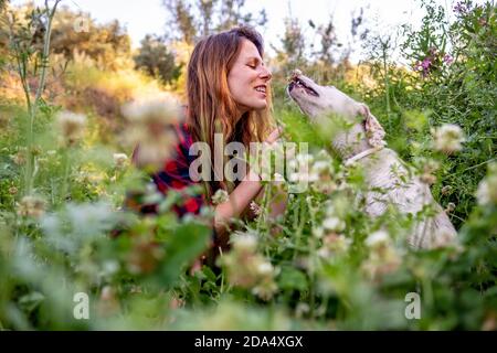 Young latin woman with her dog sitting in a flower field surrounded by tall grass Stock Photo