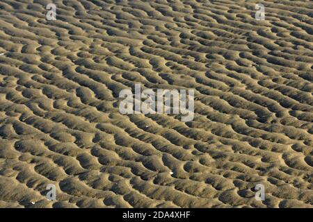 Pattern of rolling rippled waves on a sand beach. Stock Photo