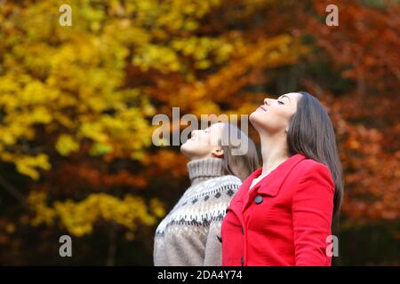 Profile of two women breathing fresh air in autumn in a beautiful forest Stock Photo
