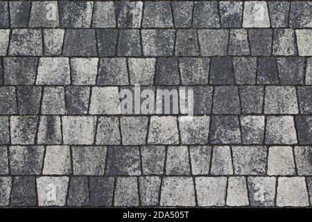 Cobblestone street in city. Paved boulevard or avenue made of stones. Urban footpath tile mosaic from rock material. Cobbled pavement surface in town. Stock Photo