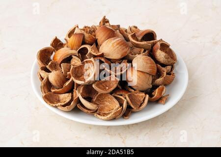 Close-up of hazelnut shells on a small white plate. Healthy vegetarian eating, antioxidant and protein source. Food waste and peelings. Front view. Stock Photo