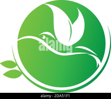 Hummingbird logo icon creative design template Stock Vector