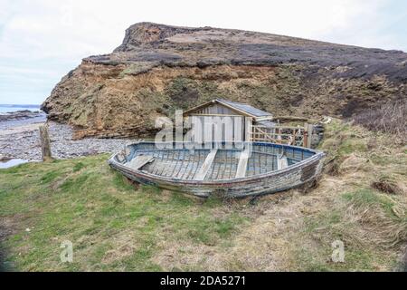 Millook Haven exhibits the best example of chevron faults in the British Isles. Stock Photo