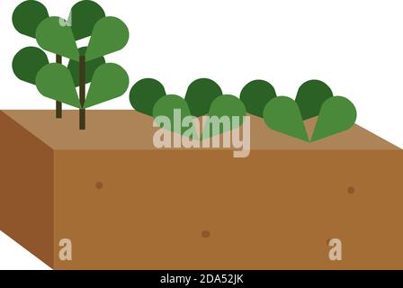 Isolated plant for sow home activities icon- Vector Stock Vector
