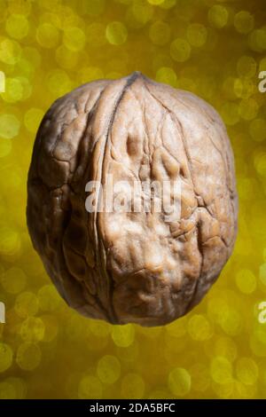 Macro Close up Photo of Walnut Floating on Golden Bokeh Background Stock Photo
