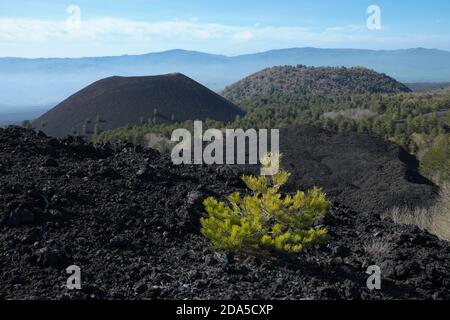 cooled lava and volcanic cones of Mount Nuovo and Mount Lepre in Etna Park, Sicily Stock Photo