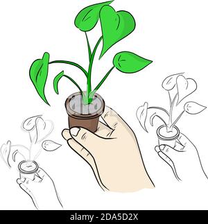 close-up right hand holding plant with small flower pot vector illustration sketch doodle hand drawn with black lines isolated on white background Stock Vector