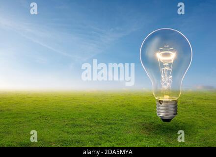 Light bulb grow in the grass against blue sky. Forest conservation and Eco concept. Stock Photo