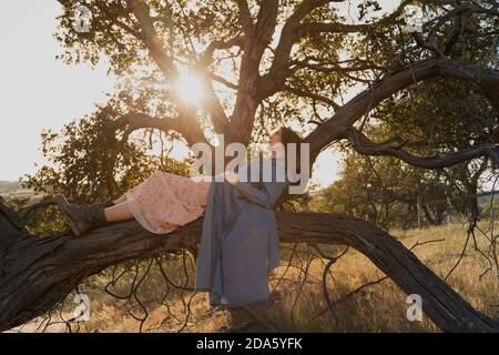 Young woman in blue dress relaxing laying in an Oak tree looking toward the glowing sun Stock Photo