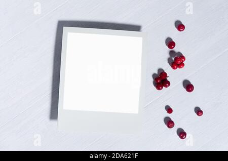 Blank polaroid photo frame in sunlight with red berries lingonberry on white wooden board top view, copy space. Stock Photo