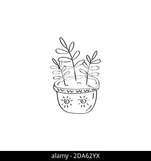 House plant. Flowers in pot. Ficus icon. Hand drawn vector doodle illustration Stock Vector