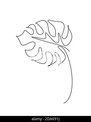 Monoline leaf of tree logo. Monstera outline emblem in linear style ...