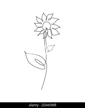 minimalist sunflower line art