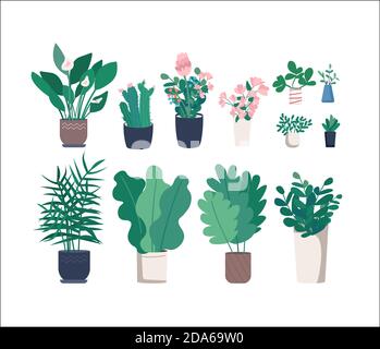 Different houseplants flat color vector objects set Stock Vector