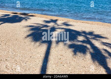Palm tree shadows on a pebble beach. Mediterranean coastline. Vacation Stock Photo