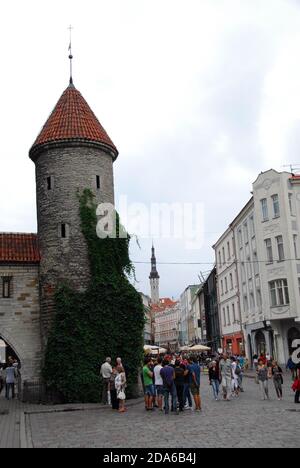 Estonia Tallinn 03+Finland Helsinki clock tower Stock Photo