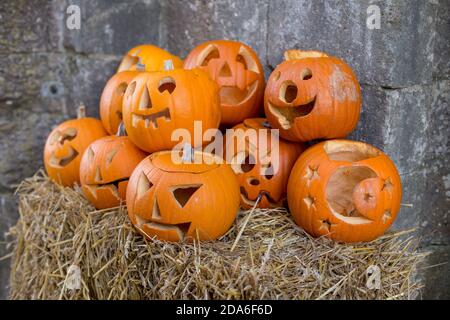 Carved pumpkins sit on a bale of straw at the gateway ready for Halloween at Corfe Castle in Dorset. Corfe Castle is a fortification standing above the village of the same name on the Isle of Purbeck peninsula in the English county of Dorset. Built by William the Conqueror, the castle dates to the 11th century and commands a gap in the Purbeck Hills on the route between Wareham and Swanage. The first phase was one of the earliest castles in England to be built at least partly using stone when the majority were built with earth and timber. Corfe Castle underwent major structural changes in the Stock Photo