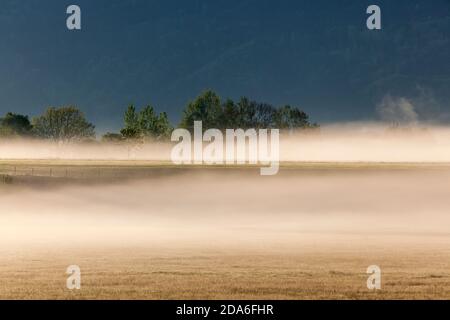 geography / travel, Germany, Bavaria, Grossweil, fog across the pad, Grossweil, Upper Bavaria, Additional-Rights-Clearance-Info-Not-Available Stock Photo